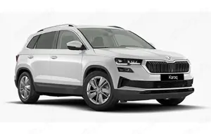 Skoda Karoq Skoda Karoq Drive130Plus 150PS DSG Kamera