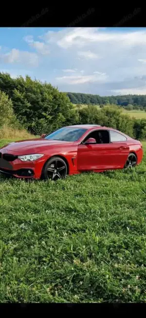 BMW 420 420 i Sportpaket Bild 3