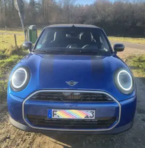 MINI Cooper C Cabrio Favoured Trim Bild 2