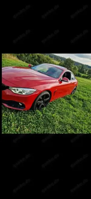 BMW 420 420 i Sportpaket Bild 2