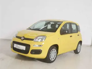 Fiat Panda 1.0 GSE Hybrid Pandina Icon Bild 3