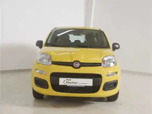 Fiat Panda 1.0 GSE Hybrid Pandina Icon Bild 2