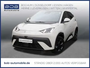 BYD Dolphin SURF Comfort 8-fach bereift