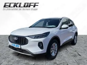 Ford Kuga 1.5 EcoBoost Titanium *LED*AHK*NAVI*4xSHZ Bild 2