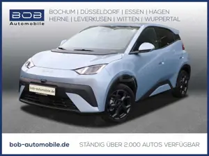 BYD Dolphin SURF Comfort 8-fach bereift