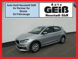 Skoda Fabia 1.0 TSI Drive Shz/AppC/Rkam/GRA/PDC/5J.Gar