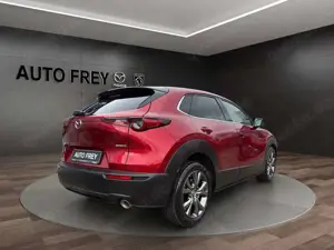 Mazda CX-30 X 186PS Selection AT+ ACAA+KAMERA+DES-P+KLIMA+NAVI Bild 3
