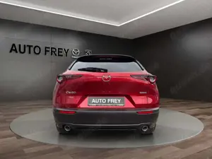 Mazda CX-30 X 186PS Selection AT+ ACAA+KAMERA+DES-P+KLIMA+NAVI Bild 4
