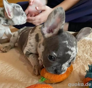 Noch verfügbar, falls Sie Interesse haben