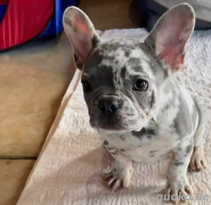 Noch verfügbar, falls Sie Interesse haben