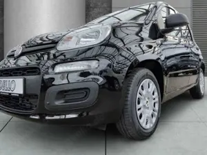 Fiat New Panda ICON Hybrid Parksensoren Klimanlage Bluetooth Bild 4