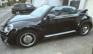 Volkswagen Beetle Bild 3