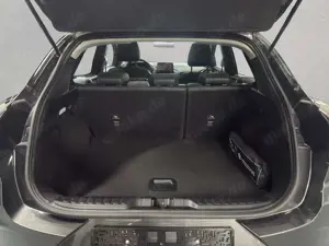 Ford Puma 1.0 EB Hybrid Aut. TITANIUM X AHZV Pano Bild 5