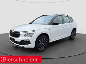 Skoda Kamiq Tour 1,5 TSI 110kW 7-Gang-DSG AHK RFK LED SH