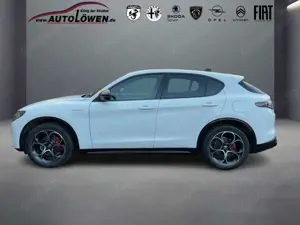 Alfa Romeo Stelvio 2.2 JTDM Veloce Q4 (EURO 6e) Bild 2