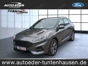 Ford Kuga ST-Line Automatik Sportpaket Bluetooth Navi