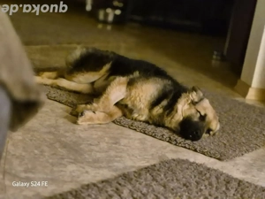 Hillary - die immer lacht