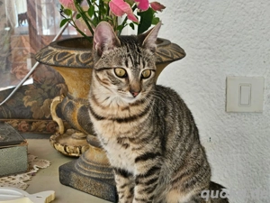 Dana sucht ihr Zuhause