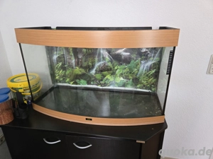 Tausche Juwel Aquarium mit Panorama Scheibe