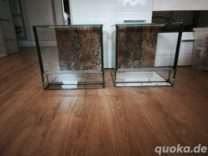 Terrarium mit Falltür 30 x 30 x 30 cm mit Korkrückwand (2 Stück vorhanden)