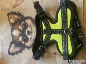 Diverse Hundegeschirre für Chihuahua Pomchi
