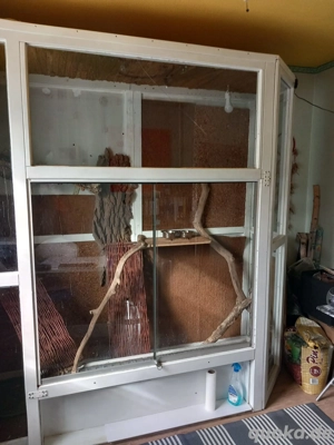 XXL Terrarium für Leguan 