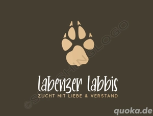 Wurfplanung 2026 - reinrassige Labrador Welpen 