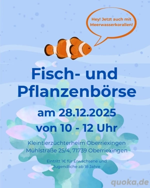 Fischbörse in Oberreixingen am Sonntag 28.12.2025