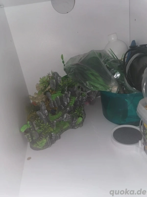 Aquarium 254 L mit viel Zubehör 