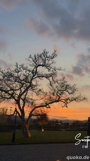 Wir suchen ein Familienhund !