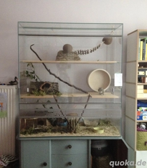 Terrarium für Kleintiere wie  z.B Degus oder Chinchillas