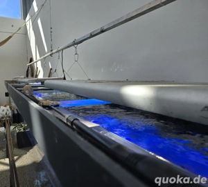 4000 liter Meerwasseraquarium