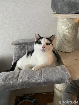 Er sucht Sie (mit Wanderschuhen) Bild 2