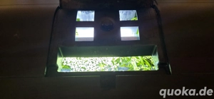 Aquarium Komplett Set abzugeben 