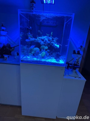 Aquarium Nyos opus G2 200