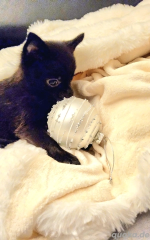 Wir haben  eine  sehr  kleine mini  Prinzessin...