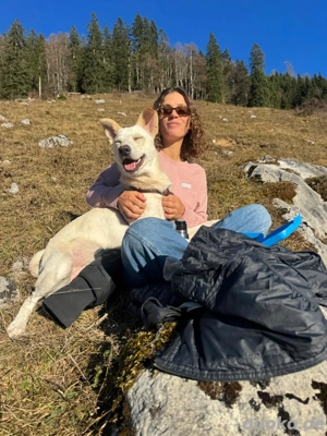 Gerry sucht sein Für-immer-Zuhause 