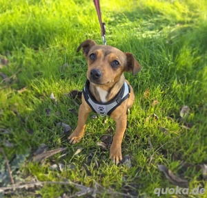 Lora ein kleines Mädchen