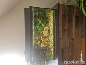 60l Aquarium 