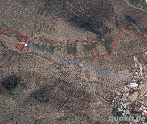 PROVISIONFREI : Investitionschance! 2.639 m  Olivenhain in Milas Mu la   Meeresnähe