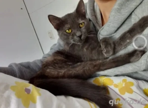 Misty & Duchess  Dreamteam sucht Traumzuhause. Bild 6