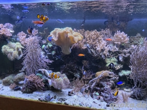 Aquarium MW komplett