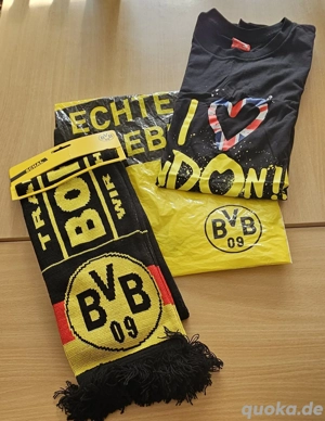BVB Shirt und Schal