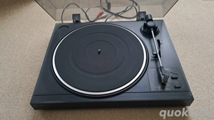 Schallplattenspieler