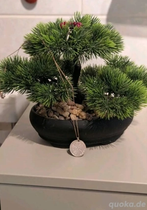 BrainY Galaxy 925 Sterling Silber ( Geist steuert Materie)