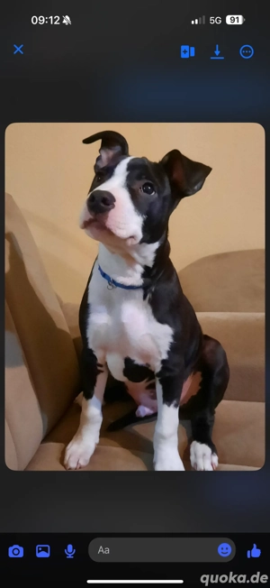 Kleiner Mann sucht ein neues zu Hause 