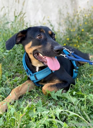 Hübscher Nadir sucht liebe Familie