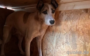 Fine sucht ihren sicheren Hafen