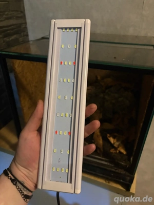 Terrarium 40x40x40 cm mit Einrichtung