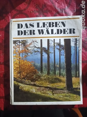 Das Leben der Wälder, Buch Jan Jen k, Pavel Pecina - Verlag: Artia Praha1978